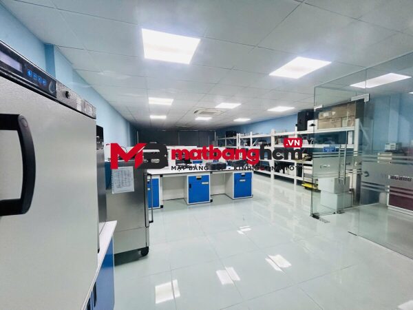 Cho thuê tòa nhà đường C1 quận Tân Bình